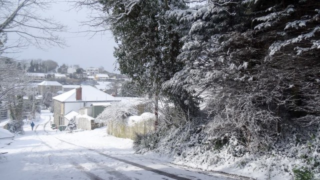 Steamers Hill in the snow..   #snowday Steamers Hill in the snow..   #snowday